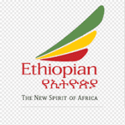 Ethiopian Airlines Group logo
